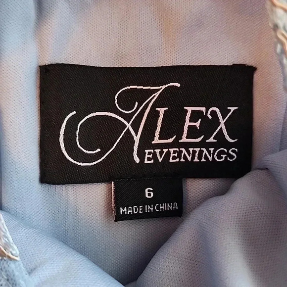 Alex Evenings Women's Long Embroidered A line dress size 6 New - Picture 9 of 14